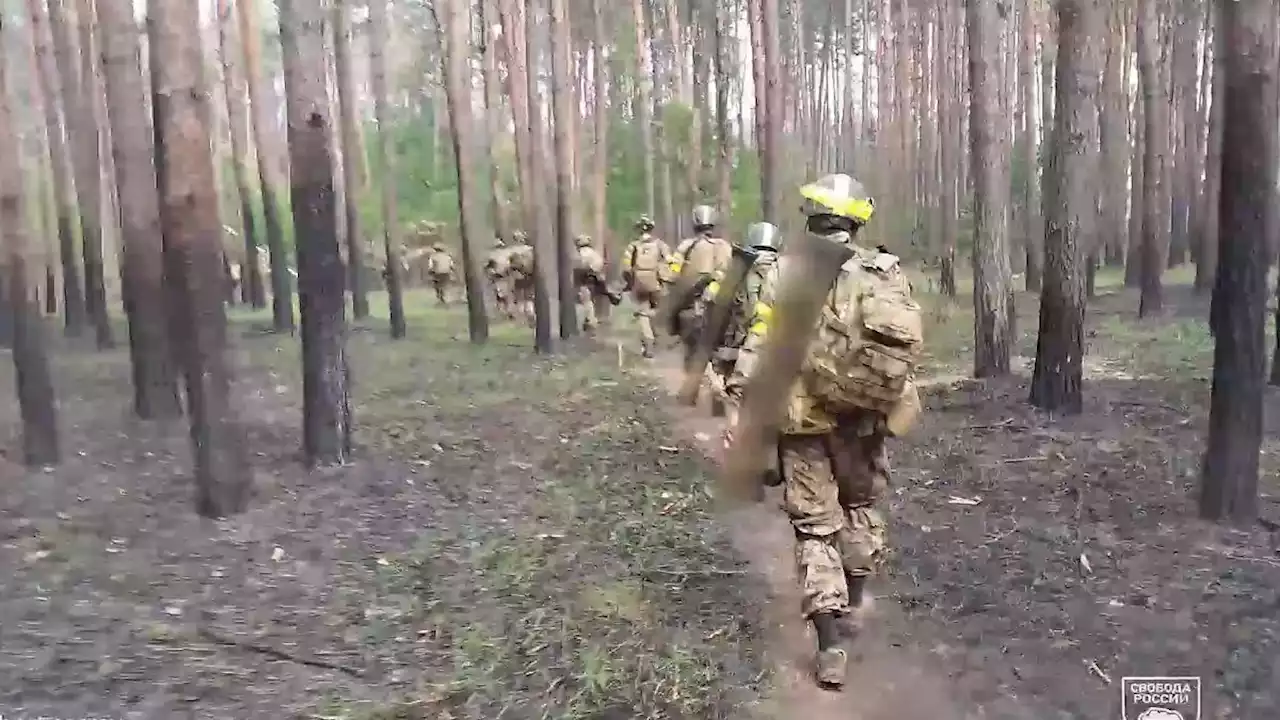 Auf diese Waffen greift die Legion 'Freiheit Russlands' zurück