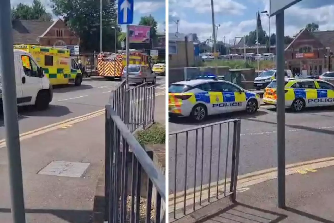 All lines from Watford to Euston blocked after Bushey 'incident' - live updates