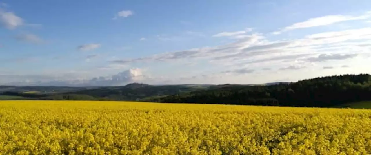 German Coal Plant To Get Massive Clean Energy Facelift | OilPrice.com