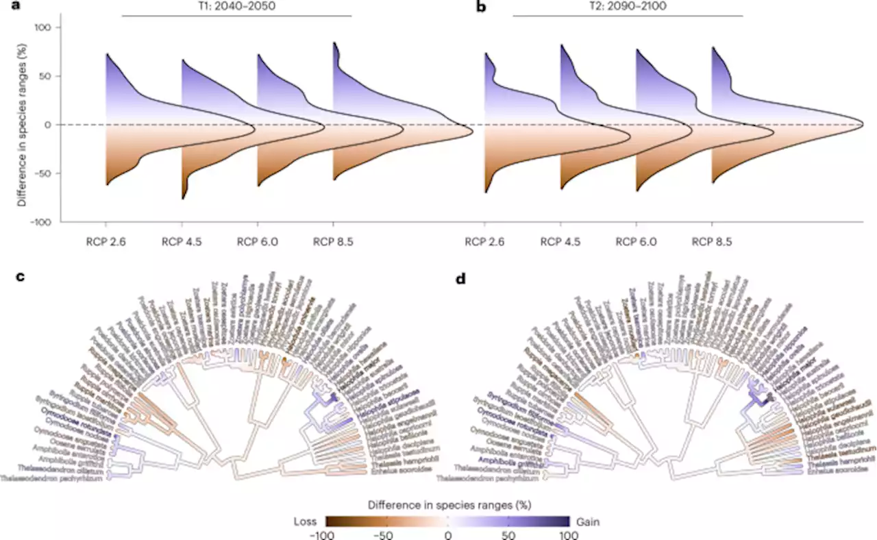 Reorganization of seagrass communities in a changing climate - Nature Plants