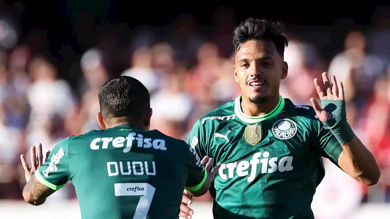 Bahia x Palmeiras: onde assistir ao vivo, horário e escalações