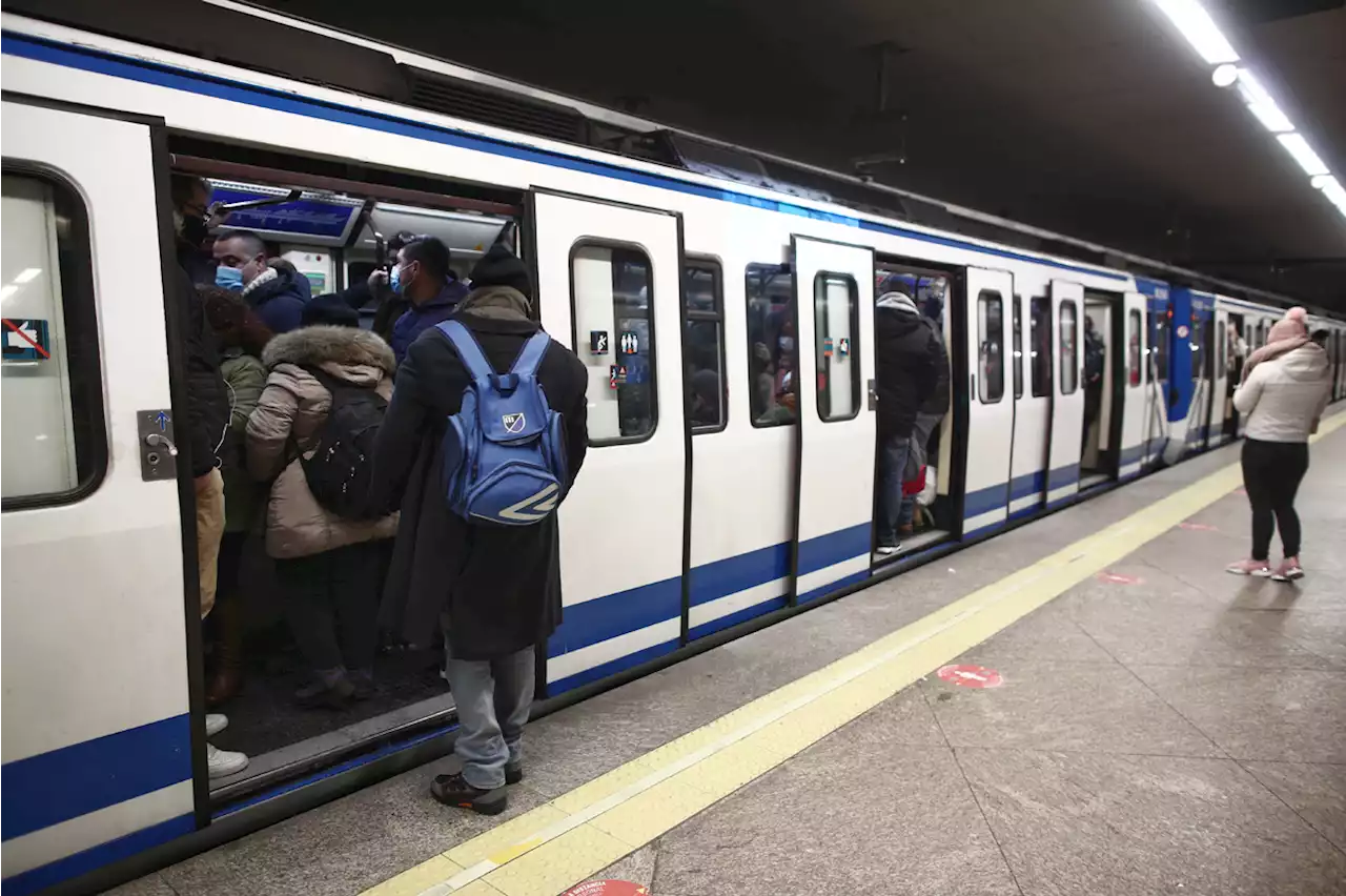 Un perro provoca retrasos de más de dos horas en la línea 5 de Metro de Madrid