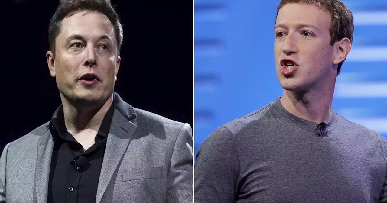 Mark Zuckerberg planea una guerra con Elon Musk con el lanzamiento de ‘Twitter Killer’ en unas semanas