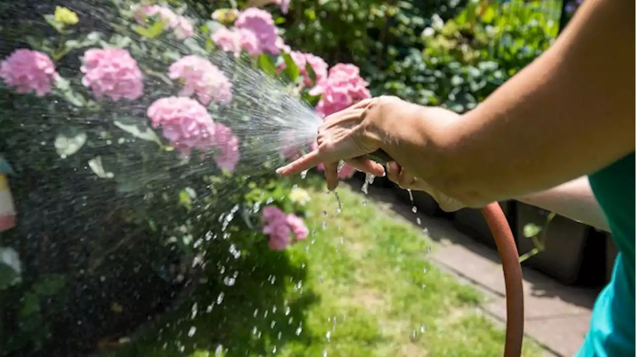 Brandenburg/Havel verbietet Gartenbewässerung am Tag