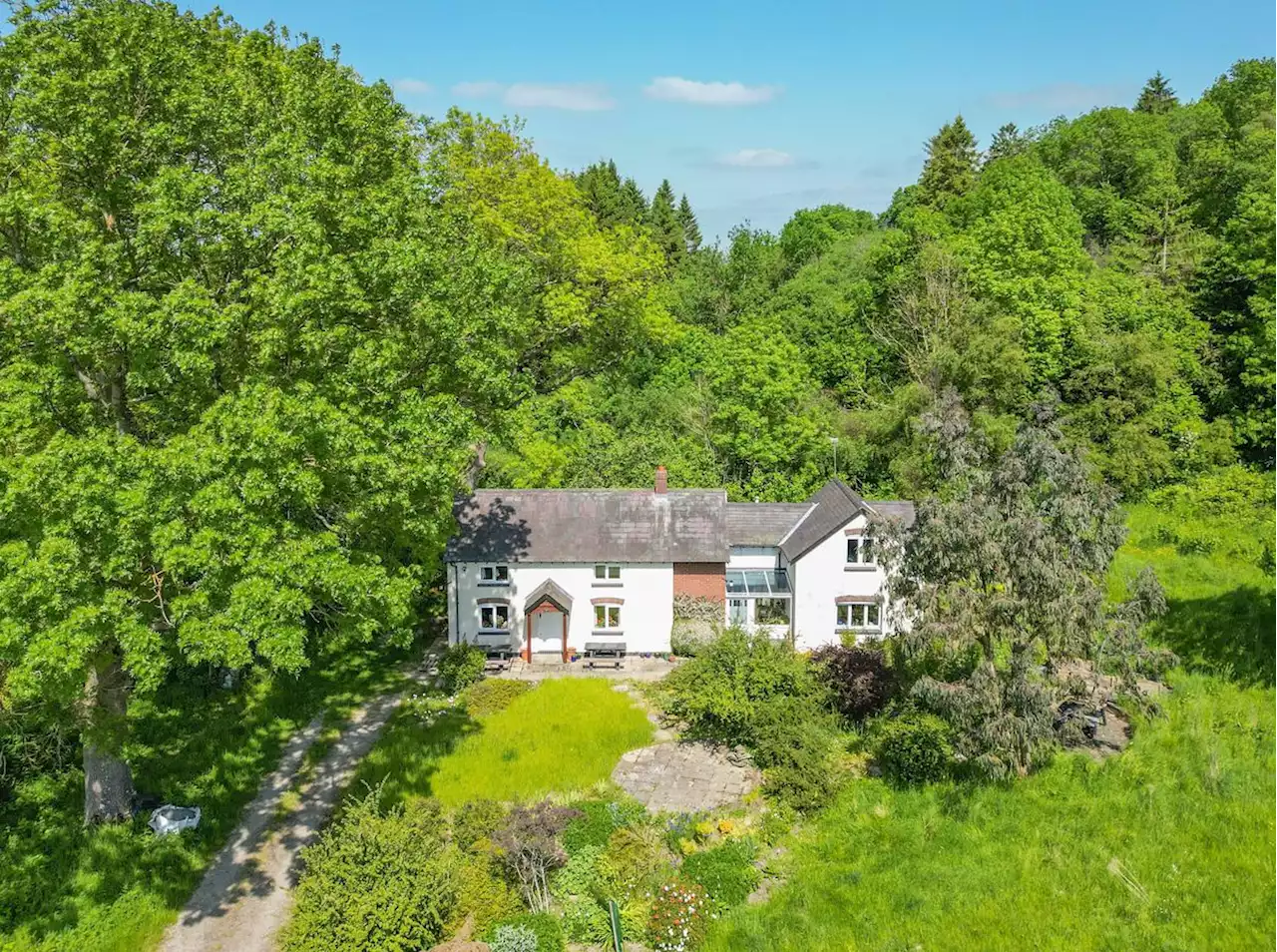 Buy your own bluebell wood in south Shropshire with an extended cottage to boot