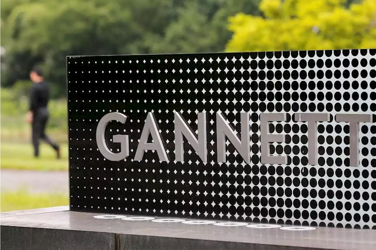 Newspaper chain Gannett sues Google, alleges online ad monopoly