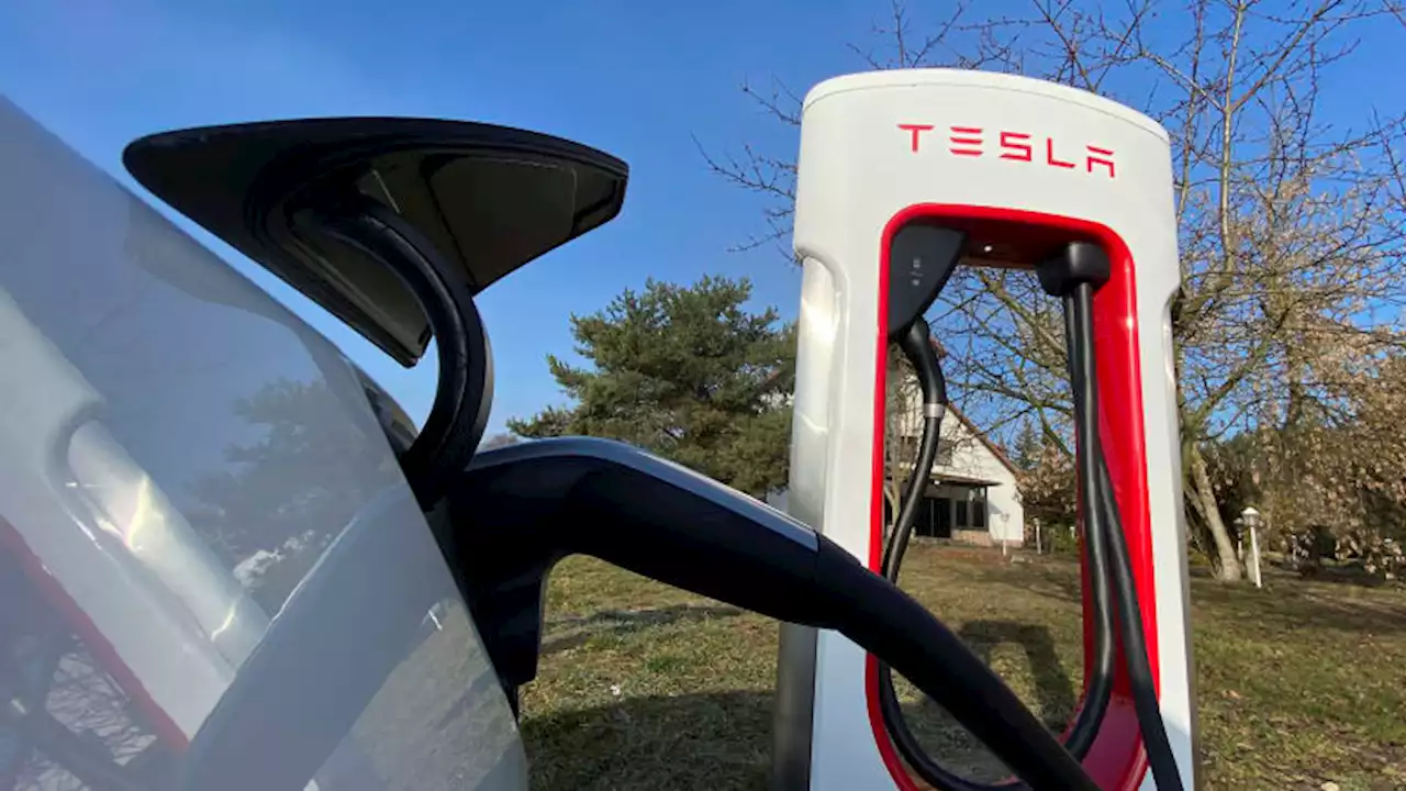 Texas to require Tesla's NACS connectors on state-backed charging stations - Autoblog