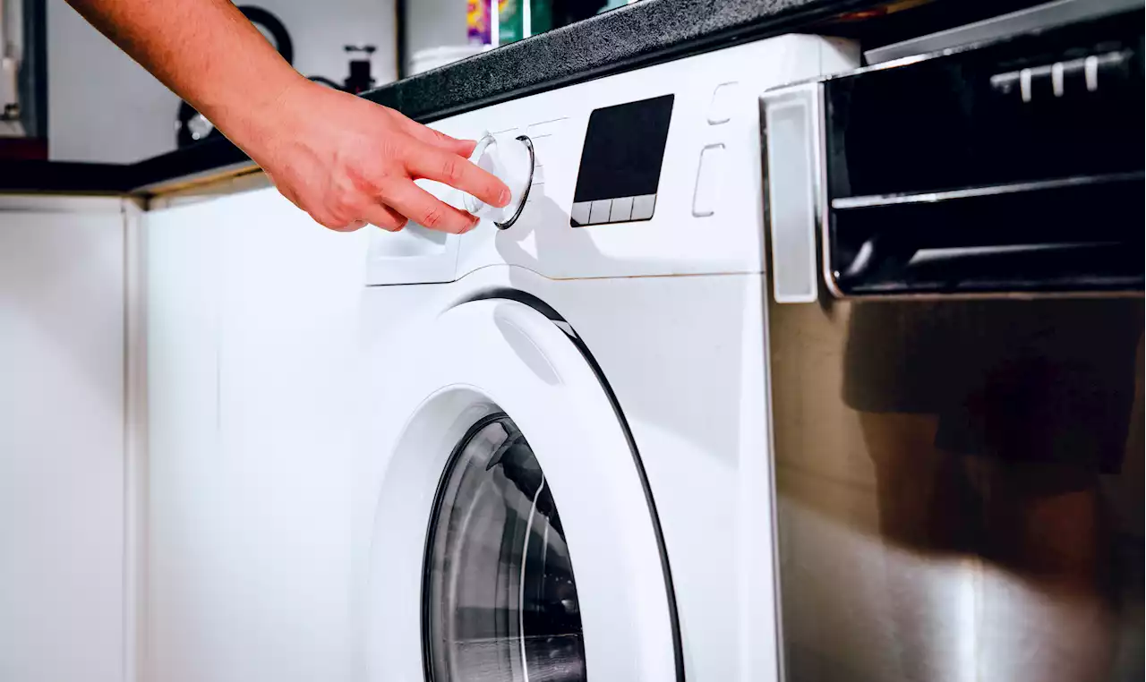 Little-known way to get FREE white goods worth £800 – how to claim