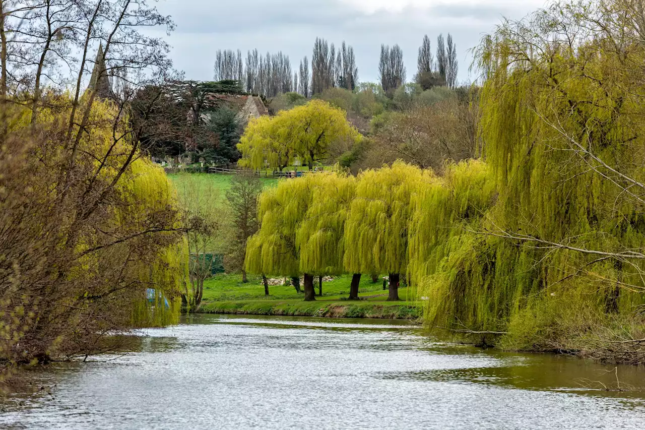 Urgent UK holiday warning after 'children get sick swimming at popular spot'