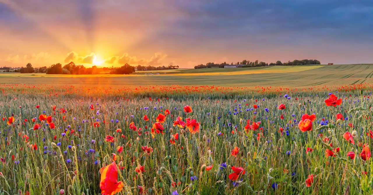 The spiritual meaning of the summer solstice — and rituals to celebrate it