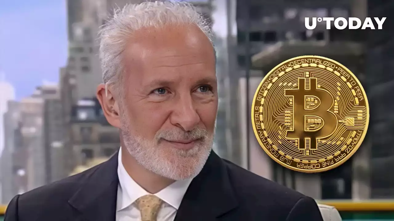 Bitcoin Critic Peter Schiff Explains Why BTC Just Rallied to $28,000