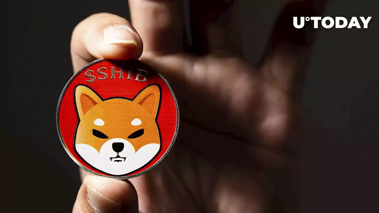 Shiba Inu (SHIB) up 9%, Market Sentiment Payoff?