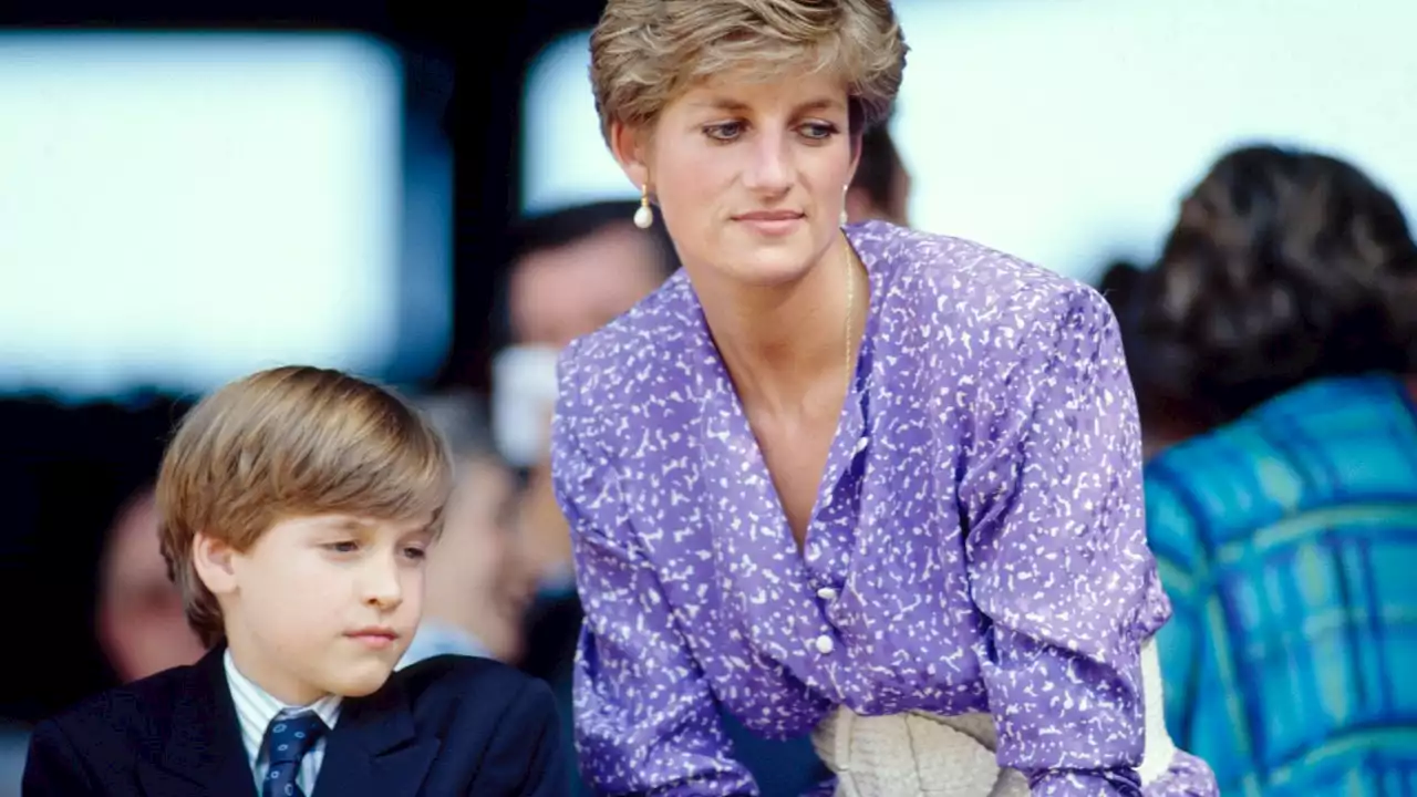 Ecco come Diana ha ispirato il prossimo grande progetto del principe William