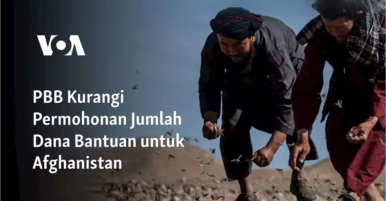 PBB Kurangi Permohonan Jumlah Dana Bantuan untuk Afghanistan