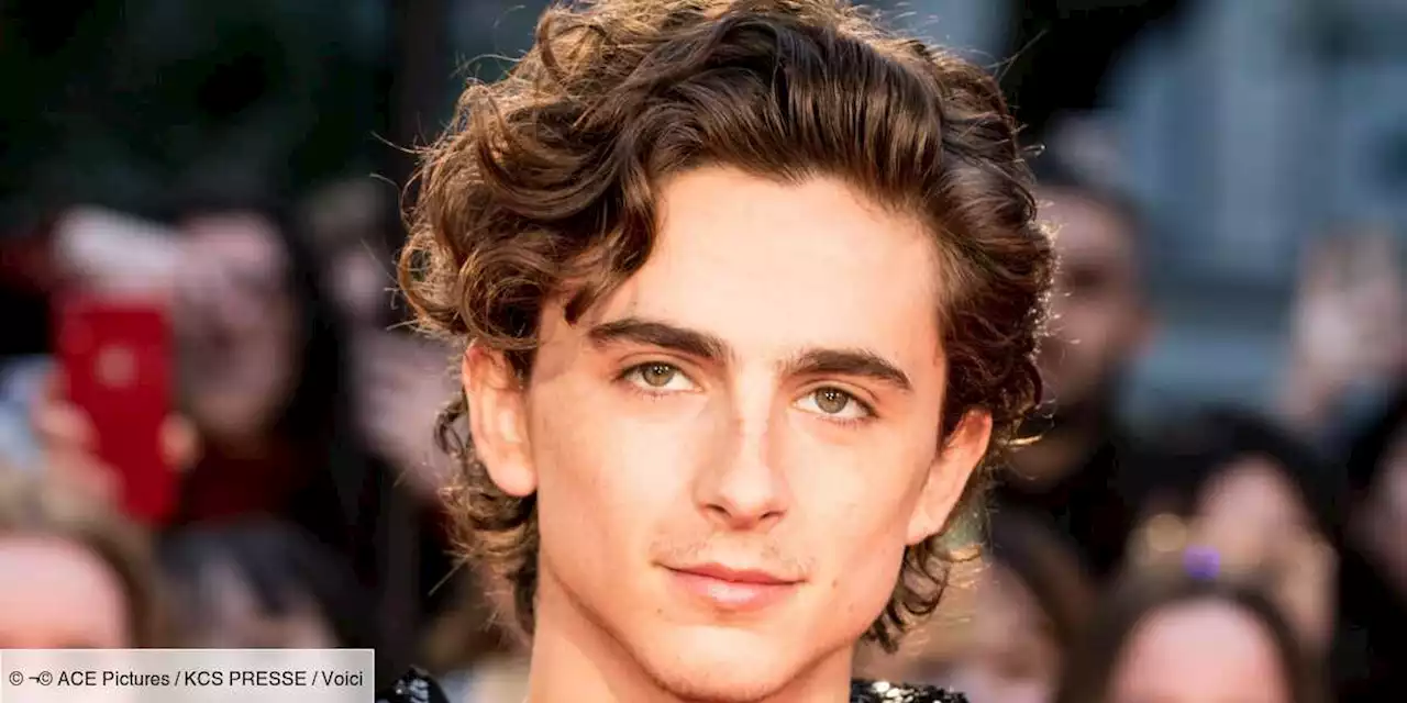 Timothée Chalamet : la soeur ainée du comédien est la star d’une série à succès ! - Voici