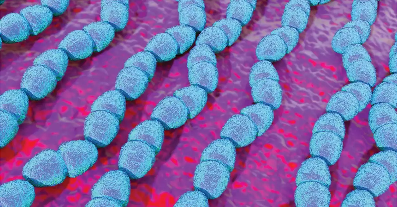 Severe Strep Infections Rebound After Pandemic Lull