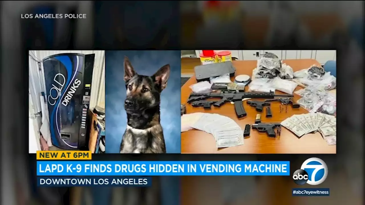 LAPD K-9 sniffs out heroin, fentanyl and rifle hidden in soda vending machine