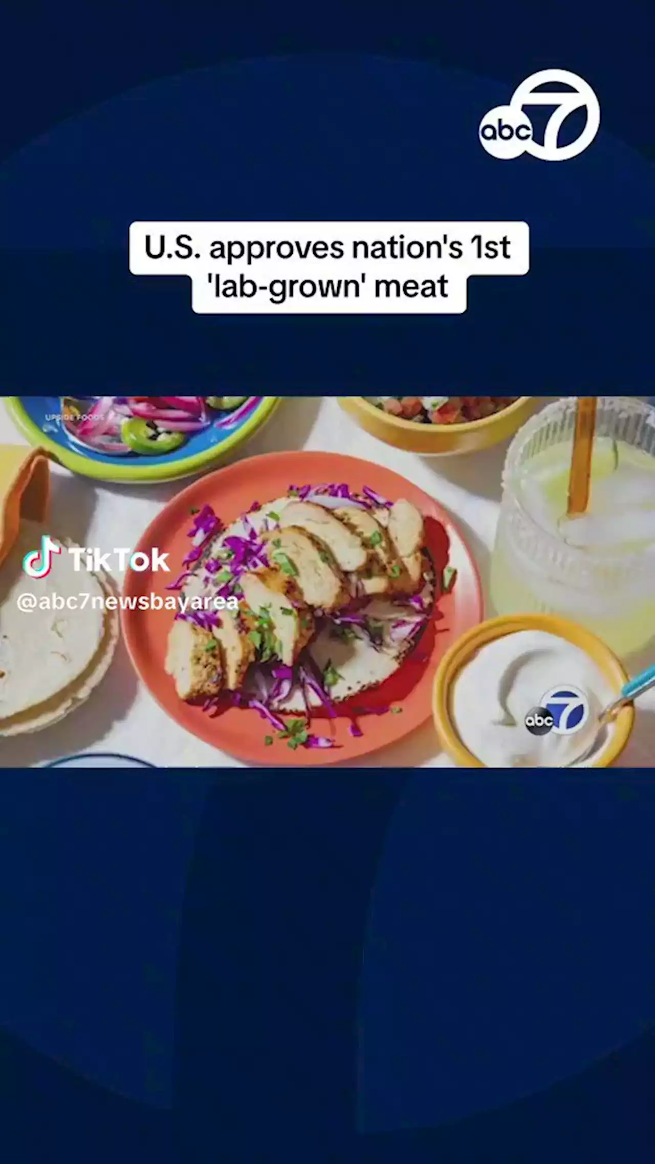 Lab-grown meat: US approves chicken from Upside Foods and Good Meat, made from cultivated cells, the nation's 1st 'lab-grown' meat | abc7news.com