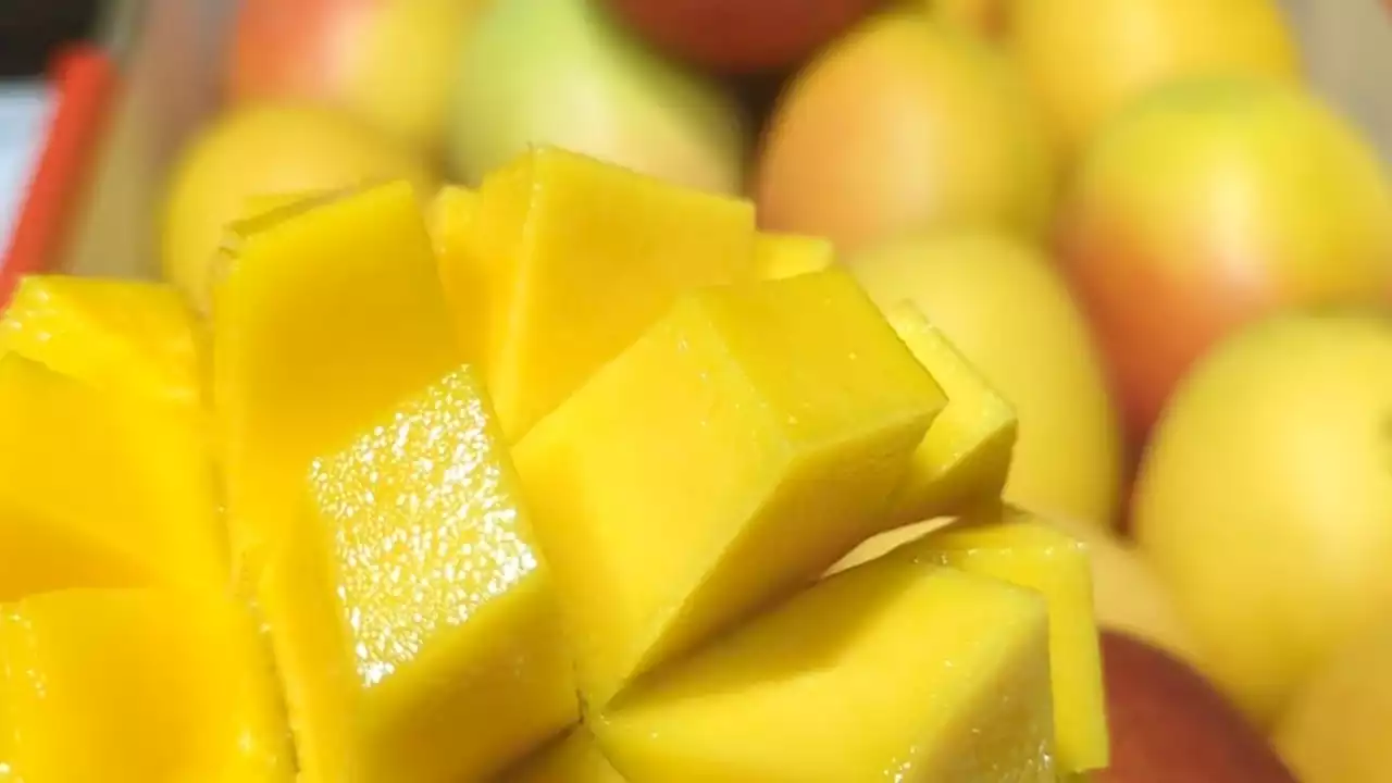 'Much-beloved' in the Philippines, Manila mangoes are about to make their Australian comeback