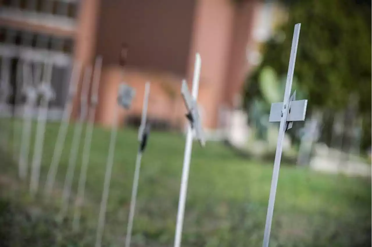 Cimitero dei feti, Garante privacy multa Comune Roma e Ama