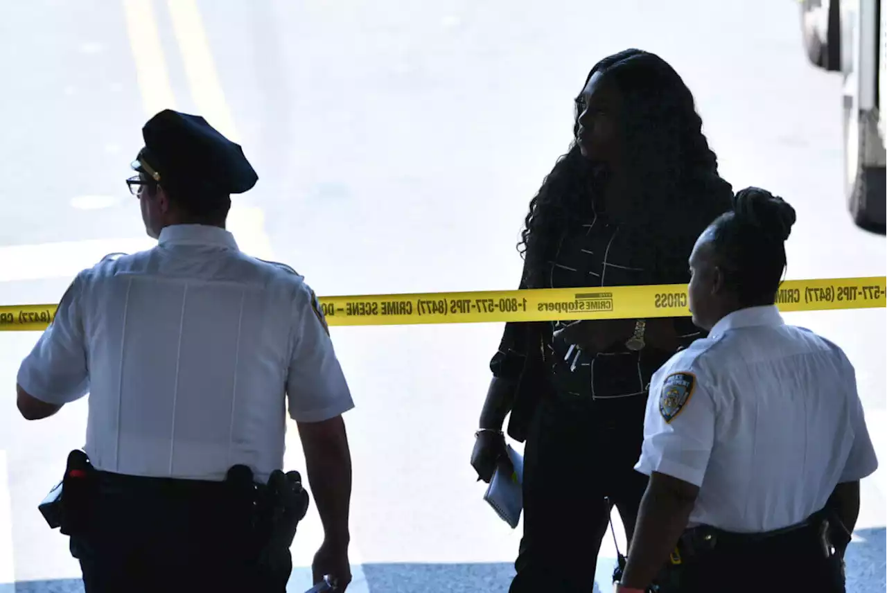 Washington Square Park stabbing: Search continues for suspects after man slain | amNewYork