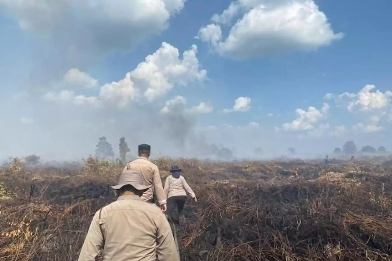 Tim Gabungan padamkan karhutla 20 hektare di Rokan Hulu