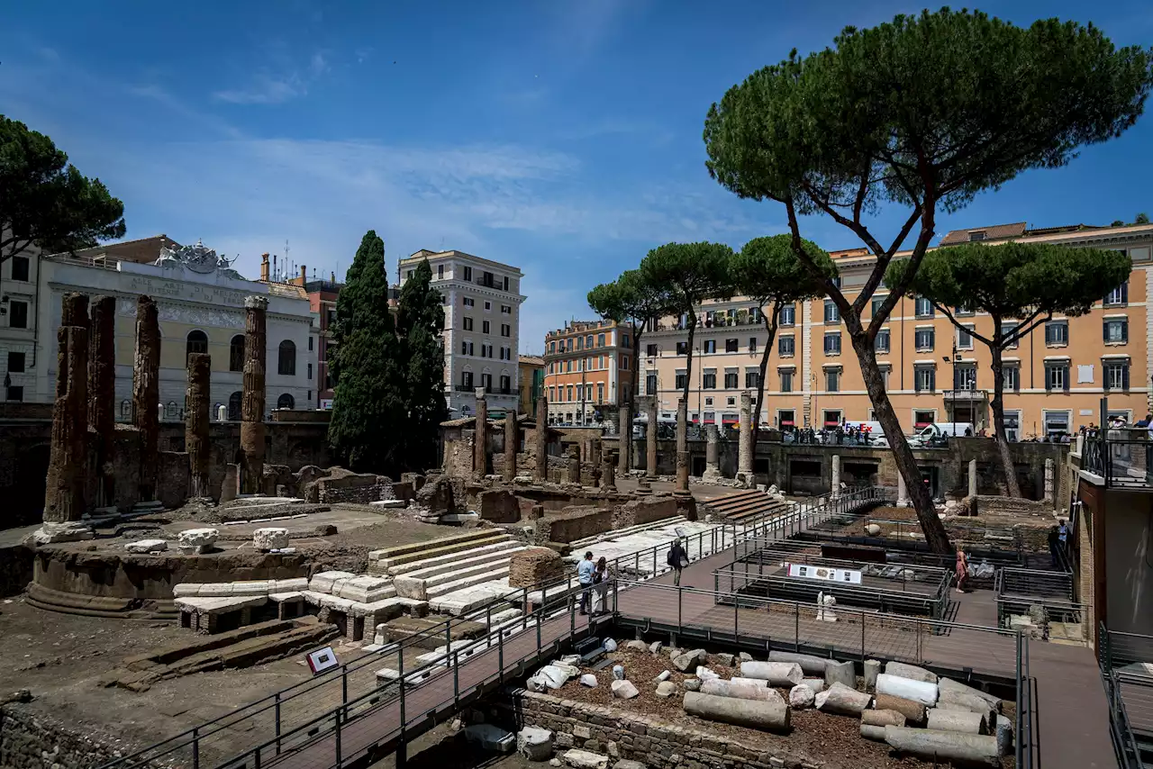 The Site of Caesar’s Assassination in Rome, Until Recently Only Visited by a Colony of Stray Cats, Is Now Open to Human Tourists Too | Artnet News