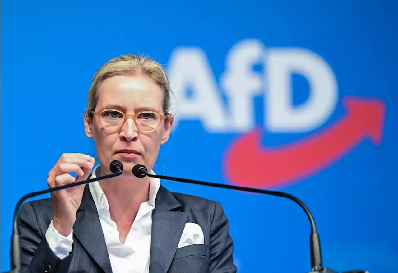 AfD: Alice Weidel hat Lust, Kanzlerkandidatin zu werden