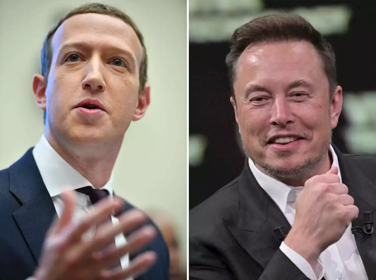 Elon Musk und Mark Zuckerberg verabreden sich zu „Käfig-Match“