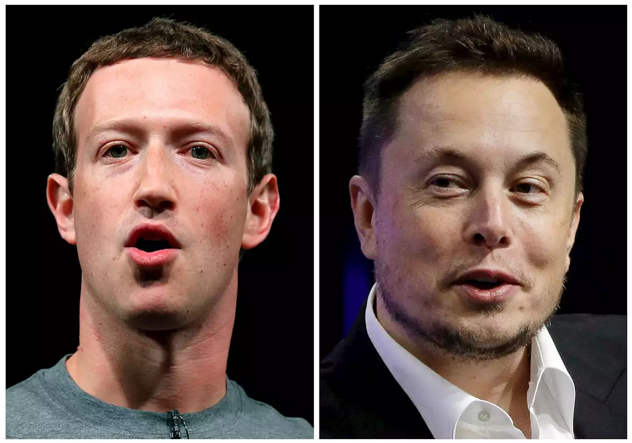 Zuckerberg und Musk kündigen Käfig-Fight in Las Vegas an