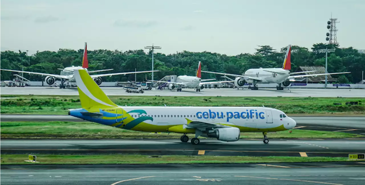 Carriers to cut flights, lease more planes to mitigate crisis | Ma. Stella F. Arnaldo