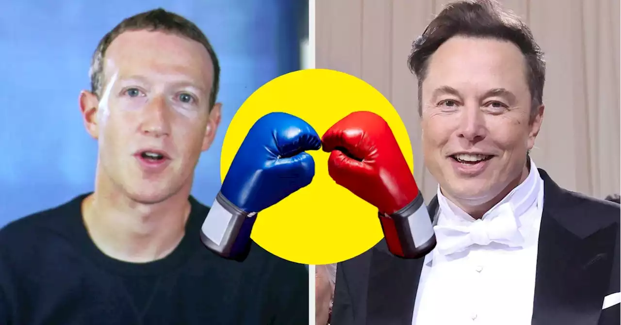 In 'Ridiculous Billionaire News': Elon Musk Challenged Mark Zuckerberg To A Cage Fight, And Mark Agreed