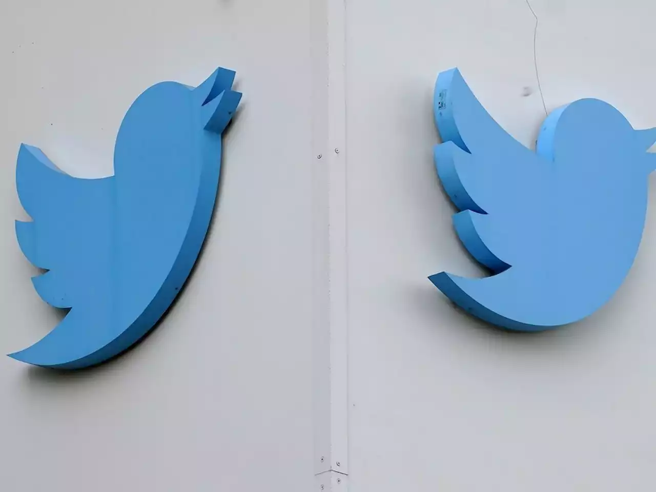 Australian online safety watchdog demands answers from Twitter on how it tackles online hate