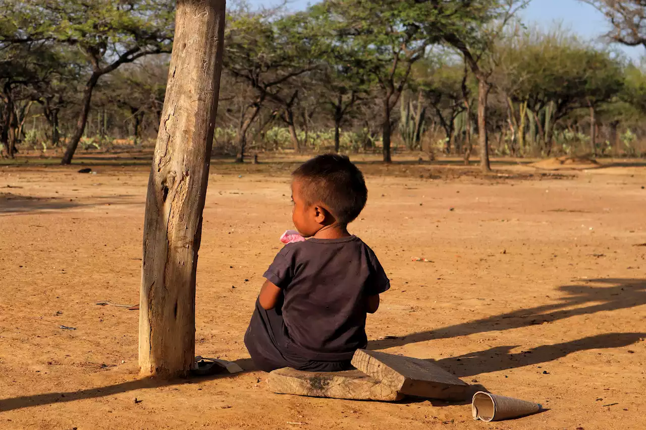 Supersalud programó visitas a la Guajira por alta tasa de mortalidad infantil