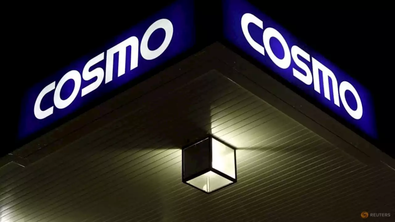 Japan's Cosmo Energy wins approval for 'poison pill' against activist