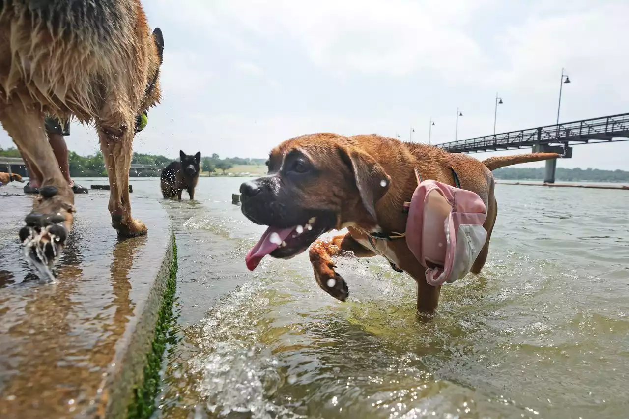 Texas toasts: Cities set record highs as heat wave scorches state