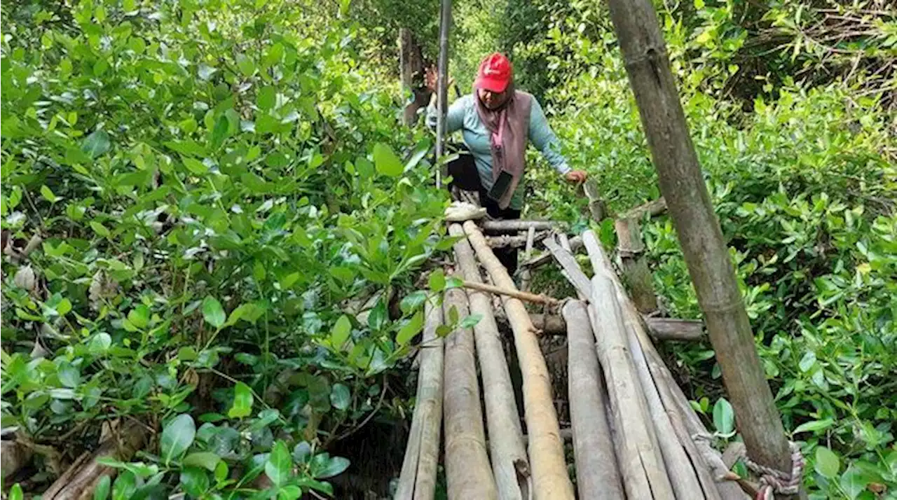 Nestapa Anak-Nenek Berjalan di Jembatan Bambu Selalu Jeblos