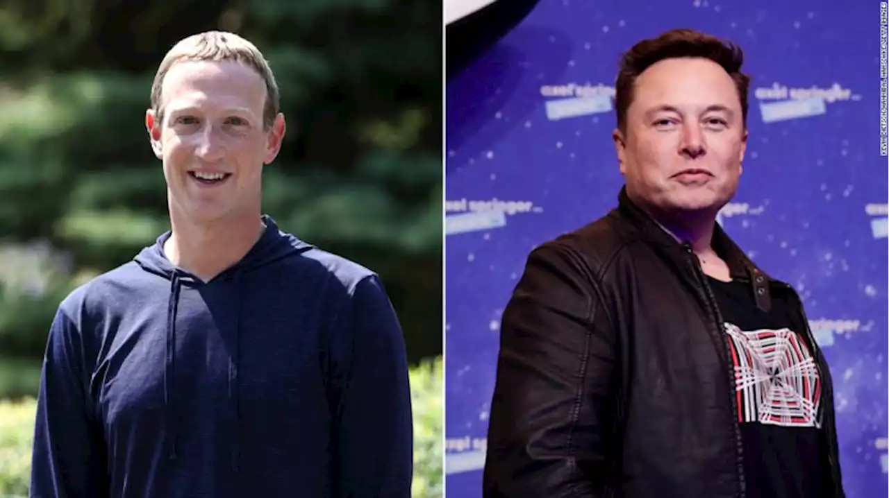 Elon Musk and Mark Zuckerberg say they're ready for a cage fight | CNN Business