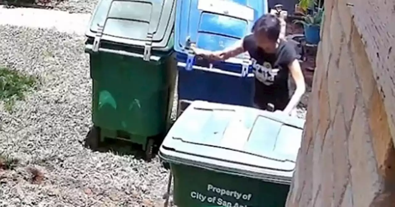 Homeowner plays tricks on 'petty' neighbour after she puts fence between bins