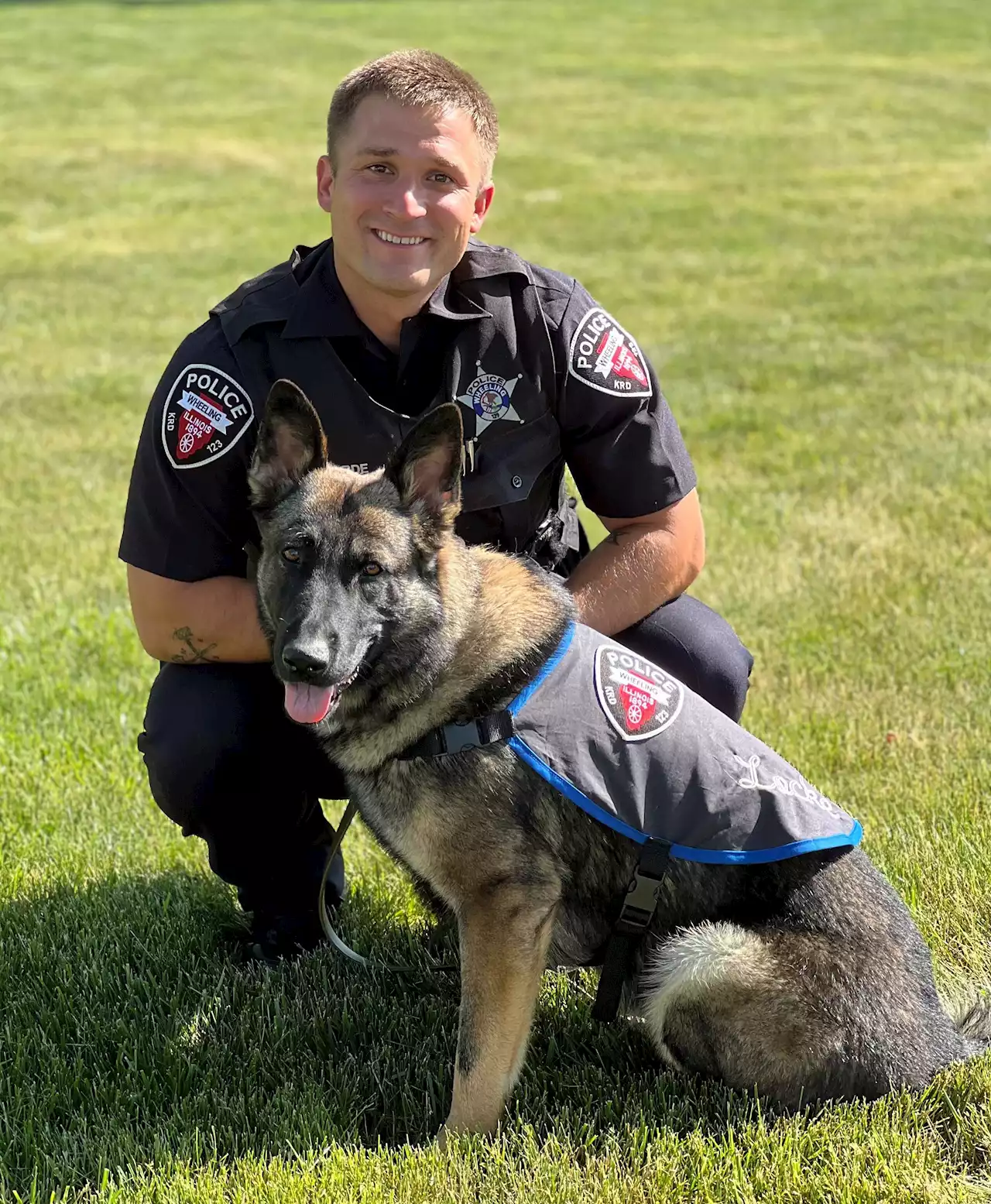 New police dogs on the job in Wheeling and Buffalo Grove