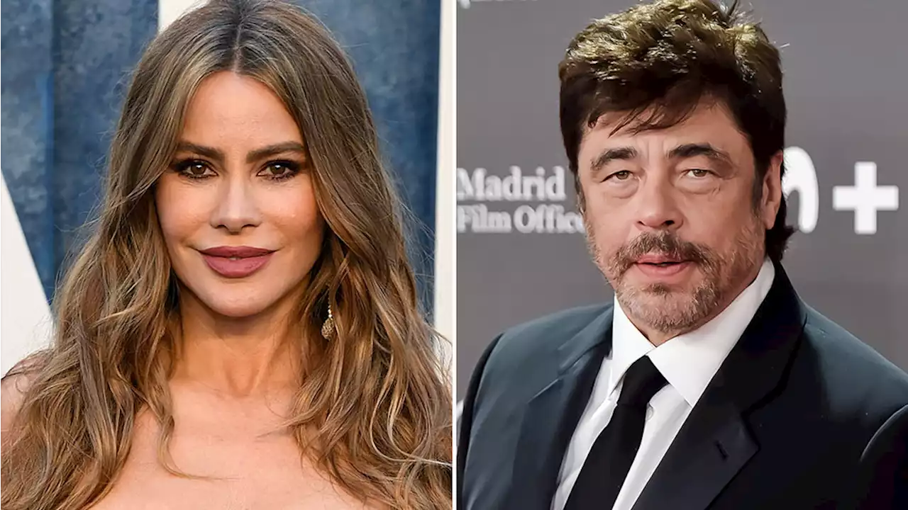 Vix Begins Production On 7 Original Titles Including Sofia Vergara Animated Series & Benicio Del Toro-Produced Film