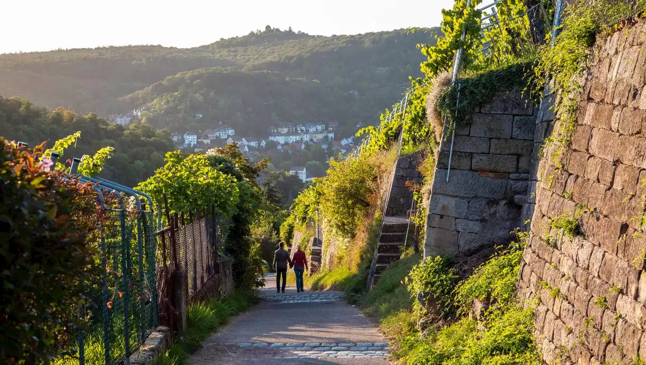 (S+) Stuttgart: Tipps für Spaziergänge, Wanderungen, Picknick