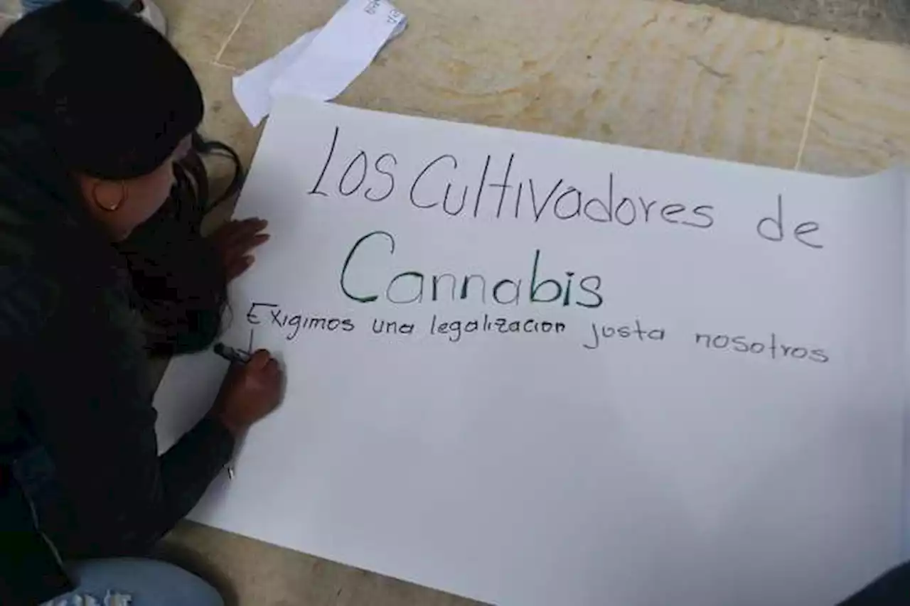 “Quien ganó fue el narcotráfico”, Petro sobre el hundimiento del proyecto de cannabis