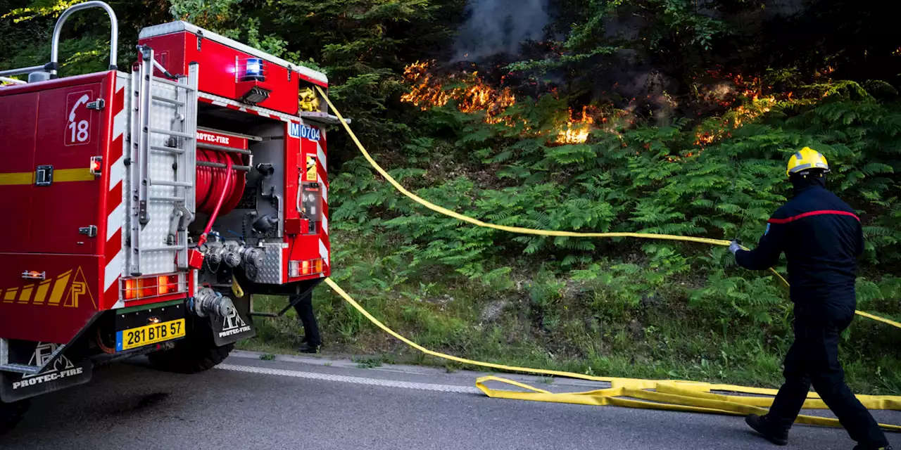 Incendie : le Bas-Rhin met en place des mesures pour combattre les feux de forêt