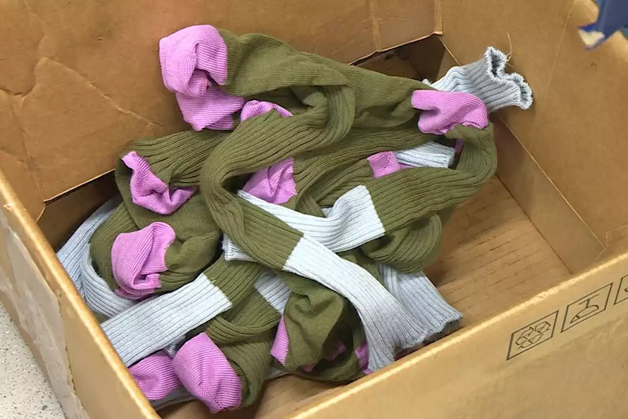 Missegle, les chaussettes les plus résistantes du monde à l'honneur à l'Élysée