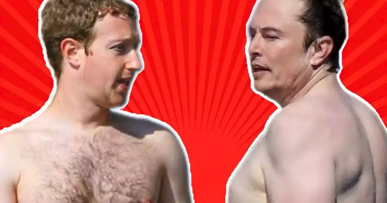 Elon Musk reta a Mark Zuckerberg a un combate en jaula y las redes se encienden