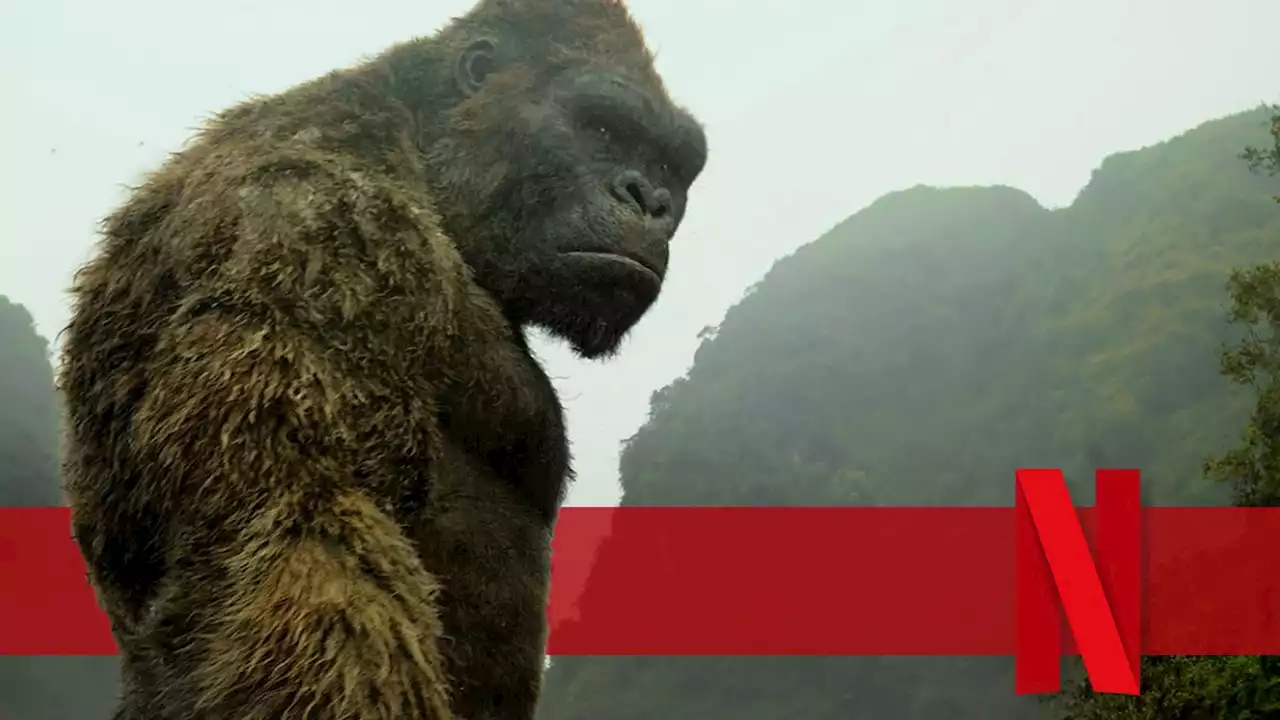 Nach 'Godzilla Vs. Kong': Das MonsterVerse & King Kong melden sich heute auf Netflix mit einem brandneuen Abenteuer zurück