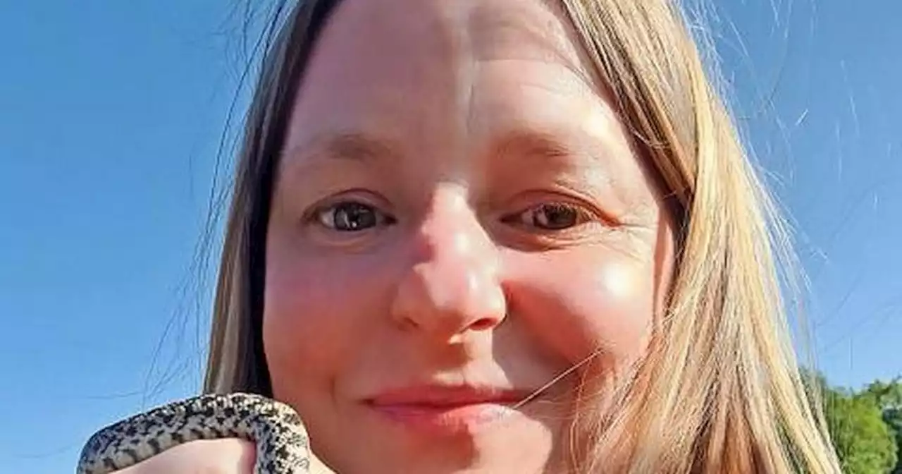 Twenty snakes use Paisley park to bask in the sunshine leaving residents baffled