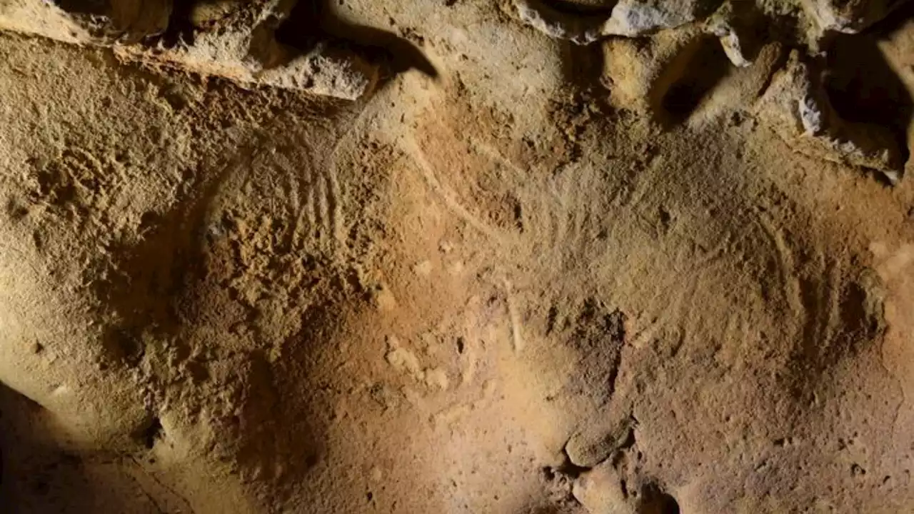 Oldest known Neanderthal cave engravings discovered in France