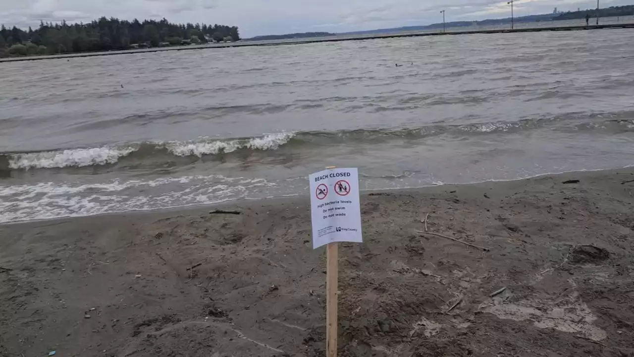 Juanita Beach in Kirkland closed due to high levels of bacteria